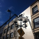 (PHOTO BY TODD MATTHEWS)