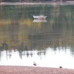 Aah, shucks: People line up for unique garden seed
