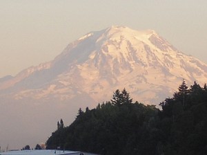 Trees, large and small, near or far, are everywhere around here. All indications point to another hot and dry summer - which means another year of fire hazards. Photo: Morf Morford