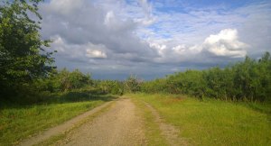 Tacoma and Pierce County both have an abundance of local parks.  They belong to us and we should help take care of them.  Photo: Morf Morford