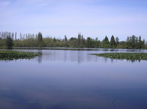 Preservation of wetlands and habitat is a lasting legacy. Photo: Morf Morford