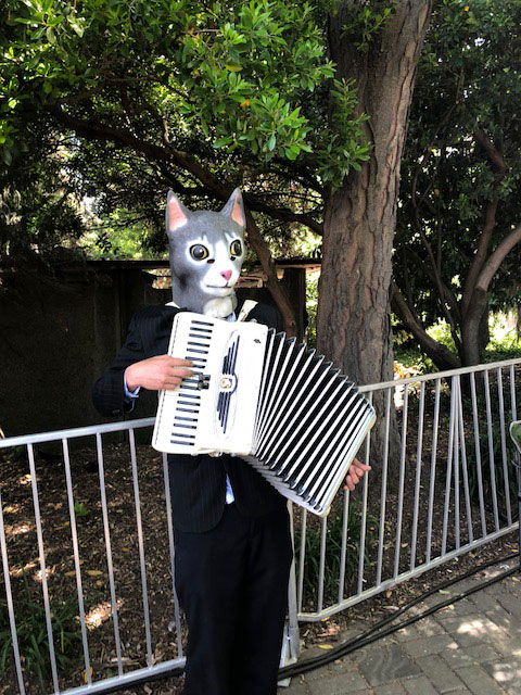 You never know who, or what, you'll see at any of these musical events. Photo: Morf Morford