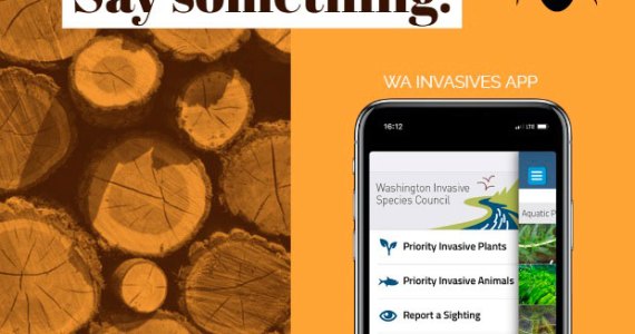 Public invited to become a First Detector and report invasive species