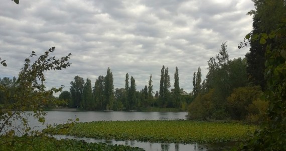 Healthy waterways are good for us all. Photo: Morf Morford