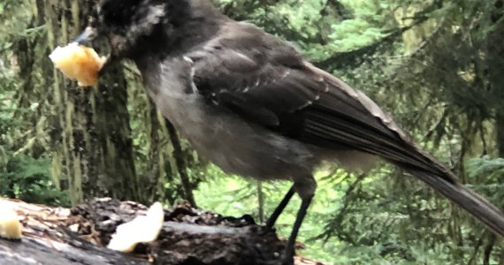 You might have more than human neighbors in a community like this. Photo: Morf Morford