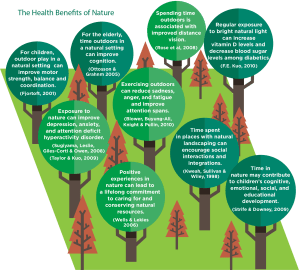 Program elevates patients’ health by encouraging any contact with the outdoors