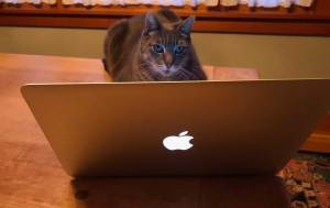 In 2020 keep that password - at home and at work - secure