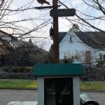 What have we learned?