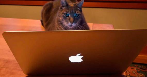 How To Avoid Being The Victim Of ‘Zoom-Bombing’ And Other Intruders