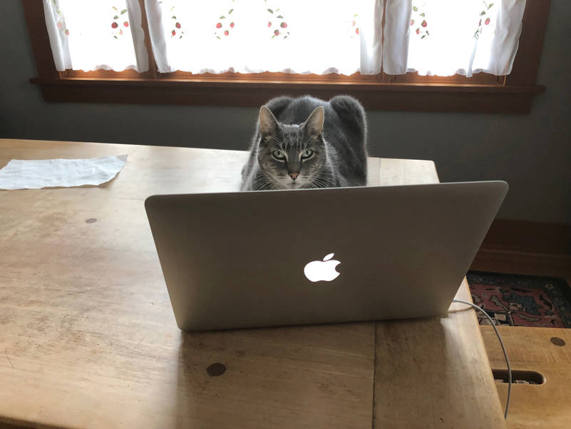 Working hard, or hardly working? Photo by Morf Morford