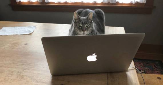 Working hard, or hardly working? Photo by Morf Morford