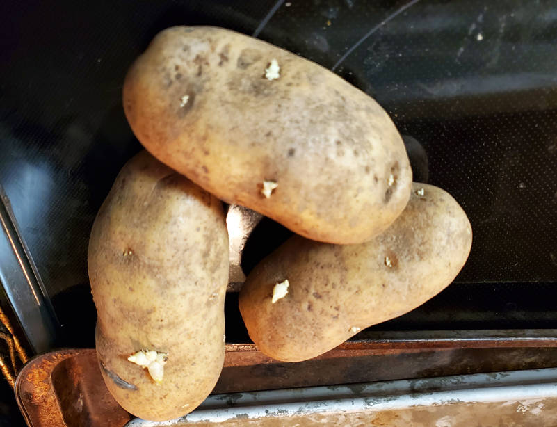 If it has eyes, does that mean its a Potato Head? (Photo by Danielle Nease)