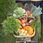 Image courtesy Metro Creative Connection