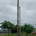 <strong>Notice the runner at the bottom of the photo for a sense of the scale. For over a hundred years the pole has been a presence in our community. Photo by Morf Morford</strong>