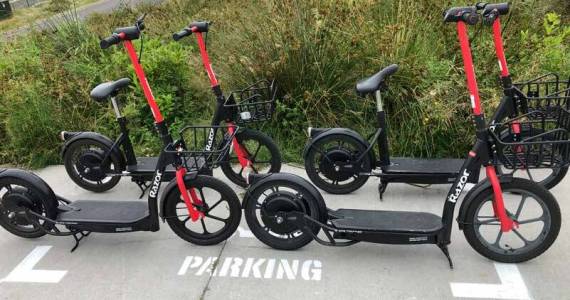 This quad of well-behaved scooters are upright and within their resting habitat - a designated parking space. Unfortunately, this is not where they are usually seen. (Photo by Morf Morford)
