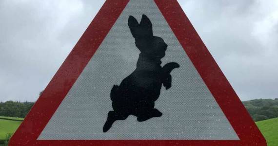 In todays economy, this road sign is a good as any. (Photo by Morf Morford)