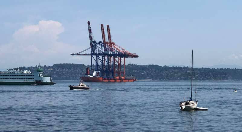 Among many other local and national changes, this flock of cranes took a one-way migration to Tacoma in June. (Photo by Morf Morford)
