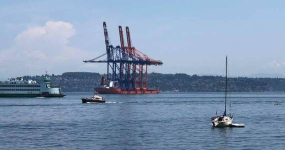 Among many other local and national changes, this flock of cranes took a one-way migration to Tacoma in June. (Photo by Morf Morford)