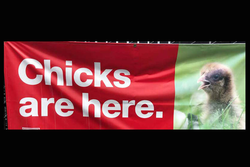 A sign or statistic might be true but it just might have a very different meaning based on the context or intent. (Photo by Morf Morford)