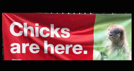 A sign or statistic might be true but it just might have a very different meaning based on the context or intent. (Photo by Morf Morford)