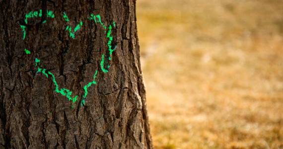 Image courtesy MetroCreativeConnection