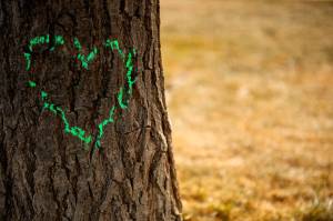 Image courtesy MetroCreativeConnection