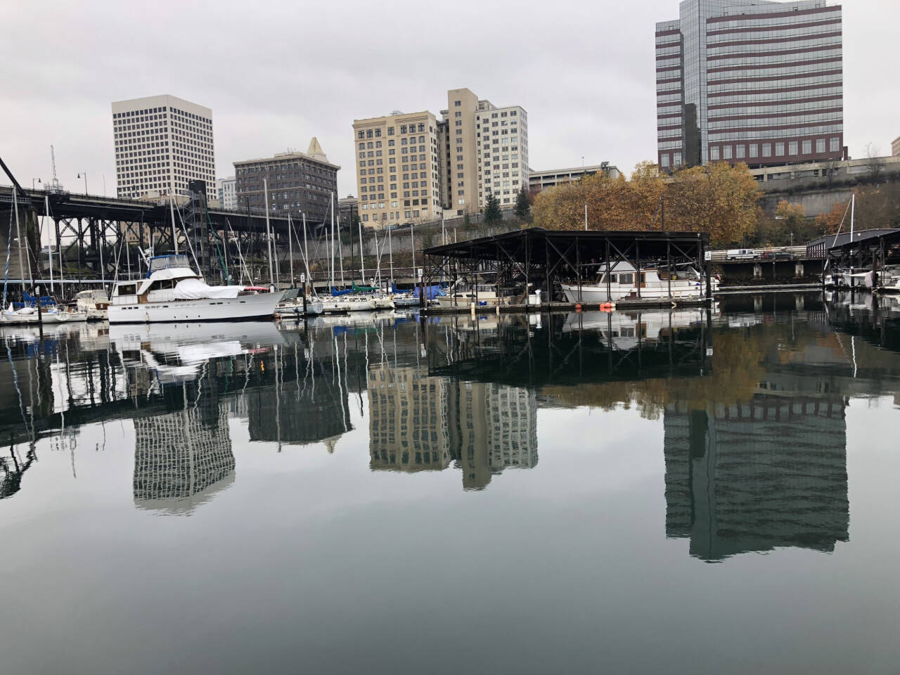 Photo by Morf Morford