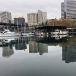 Photo by Morf Morford