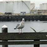 Photo by Morf Morford