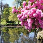 Point Defiance park in Tacoma. (Getty Images)