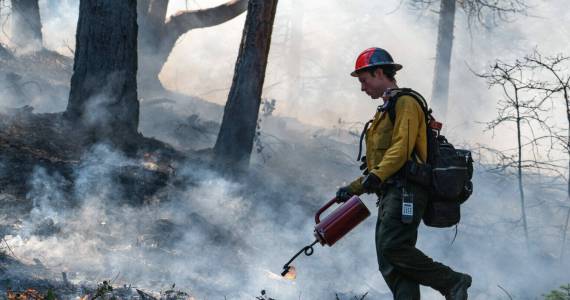 Kyle Sullivan, Bureau of Land Management/Washington State Standard
Firefighters undertake a prescribed burn at the Upper Applegate Watershed near Medford on April 27, 2023. Such burns can help reduce the risk of large wildfires.