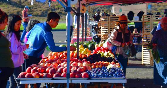 Farmers markets in Washington accept EBT benefits. (File photo)