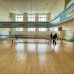 Photos provided by Noah Citron