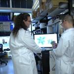 Two National Institutes of Health researchers in the Dale and Betty Bumpers Vaccine Research Center lab looking at a 3D model rendering. (Photo by National Institutes of Health)