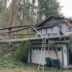 A house in Issaquah was damaged by fallen trees during Novembers bomb cyclone. (Courtesy of King County Councilmember Sarah Perrys office)