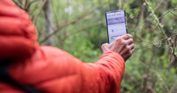 Sound Publishing file photo