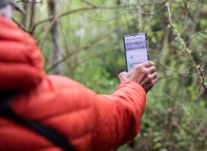 Sound Publishing file photo