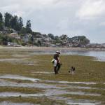 Dash Point State Park on June 16, 2022. File photo