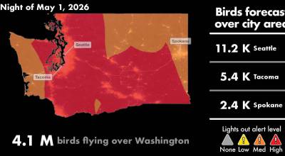 The night of May 1 showing peak bird migration in Washington state. Image courtesy of Purdue AeroEco Lab.